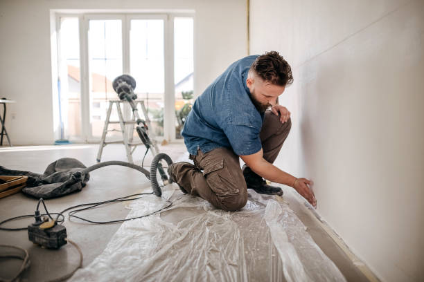  Waterloo, IA Dry wall and painting Pros