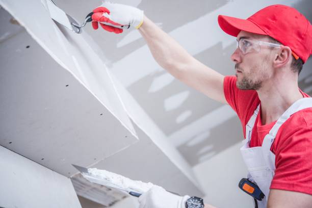 Best Trim and Molding Painting  in Waterloo, IA